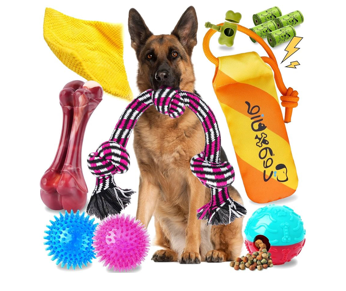 Assorted Dog Toys