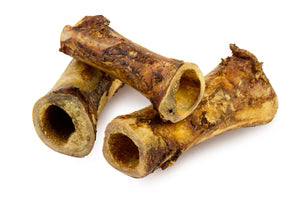 Beef Femur