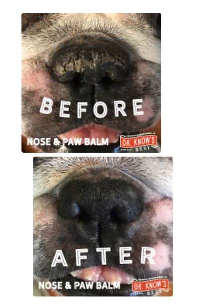 Nose and Paw balm