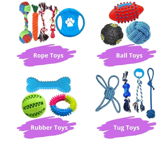 Assorted Dog Toys